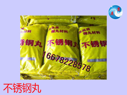 不锈钢丸